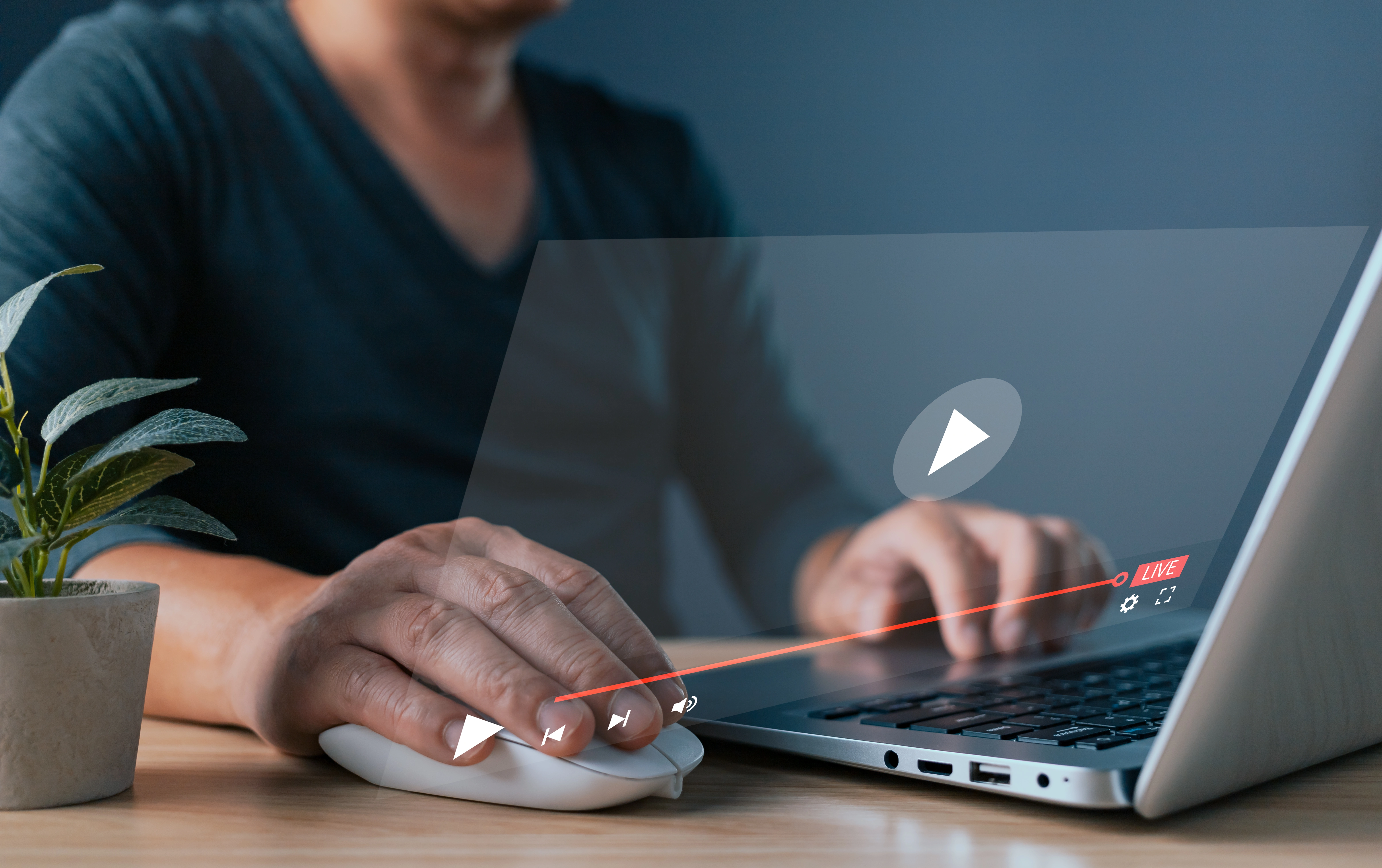 Explainer videos for clear communication – WolfNova